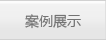 案例展示